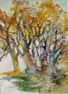 tree