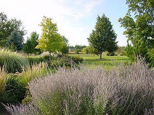 Linnaeus Arboretum
