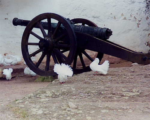  "Juxtaposition" by Karen Warkentien &rsquo;02. Eisenach, Germany (January 2000).