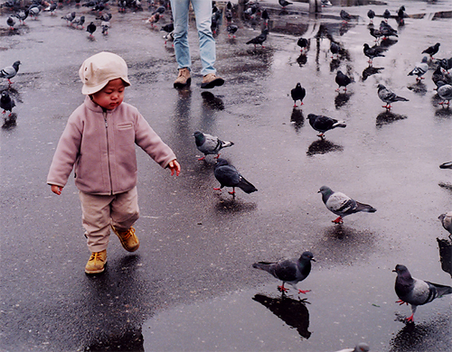  "Little Boy Amongst Pigeons" by Marnie Stenson &rsquo;03. Busan, South Korea (2002)