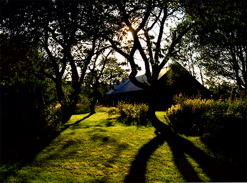 "Halvdan" by Peter Hughes &rsquo;06. Uppsala International Summer School, Sweden (August 2004)