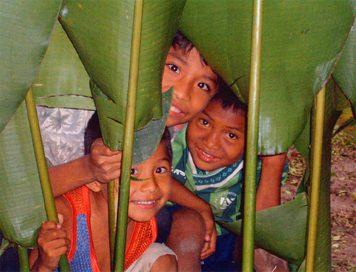  "Natural Umbrellas" by Carrie Hibbard &rsquo;05. SIT - Panama: Development and Conservation (April 2004)