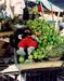  "Riobamba" by Michelle Murdock-Campos &rsquo;95. Israel, Tel Miqne (Summer 1995)