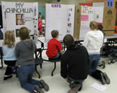 South Elementary Science Fair 2009 - photo 3