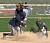 Whitney Bartolo slides safely into second base.