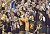 The legendary Gustie basketball fans
