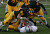 The Gustavus defense gangs up on a Hamline ball carrier in the Gusties' 28-7 victory over the Pipers