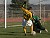 Alex Groth challenges goalkeeper Pascaul Venter by putting a shot on net. 