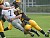 Adam Miron compiled a game-high eight tackles, a sack and an interception in his final collegiate game.