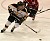 Joe Welch skates past a Cardinal defender.