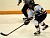 Gustavus' leading scorer David Martinson
