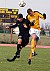 Senior captain Flynn Stewart-Franzen (right) will lead the Gusties in 2008.