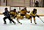 Matt Lopes makes one of his 18 saves.