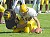 Jared Chapman forces a key fumble against Concordia