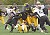 The Gustie defense stuffs an Ole rush.