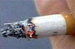 Cigarette