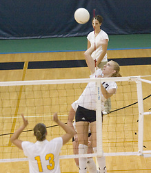 Andrea Kron elevates above the net for an attack