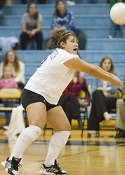 Sophomore Bri Alsides connects on one of a team-high 24 digs