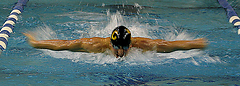 The Gusties have also posted the top time in the 200 free relay and 400 free relay this season.