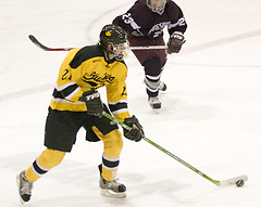 Mike Hosfield led the Gusties with two goals and an assist Friday night.