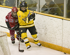 Abby Randall tries to advance the puck along the boards.