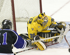 Senior Kitty Hurley posted a 12-5-2 record with 292 saves, a 1.31 GAA, and a .921 save percentage in 2005-06.
