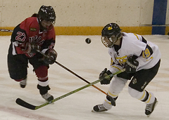 Brigitte Bartholdi attempts to keep a Falcon from playing the puck.