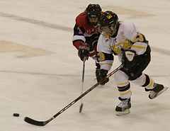 Andrea Peterson scored the game-winning goal for Gustavus.