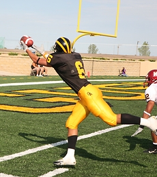 Wide receiver John Retka stretches out for a touchdown reception.