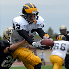 Chad Arlt lunges for the Gusties first touchdown. (photo courtesy D3sports.com)