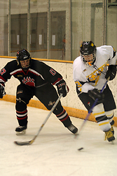 Stefanie Ubl controls the puck behind the Lake Forest net.