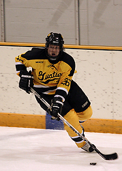 Senior Niko Suoraniemi led the Gusties with one goal and one assist in the game.