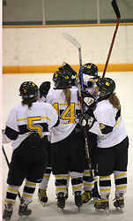 The Gusties celebrate after scoring a goal.