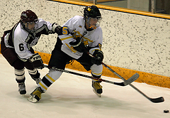 Mari Gunderson battles Elise Hedlund along the boards.