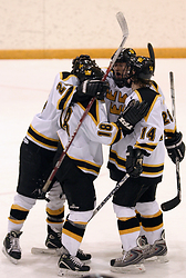 Gustavus celebrates one of its six goals.