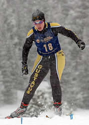 Kathleen DeWahl finished 37th in the freestyle race.