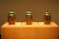 <i>Ashes to Ashes</i> by David Goldstein