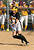 A Gustie batter lays down a drag bunt.  
