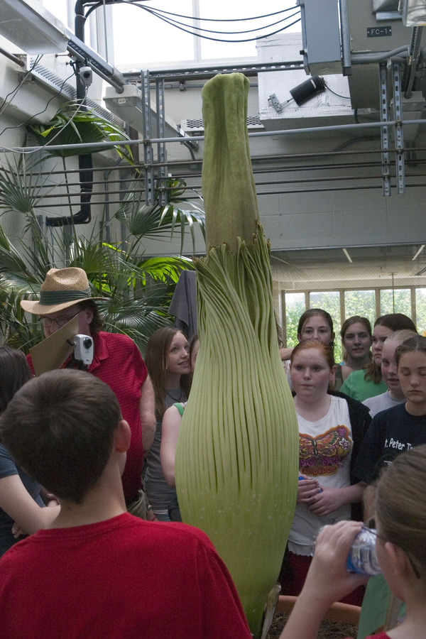 A St. Peter Middle School class learns about the Corpse Flower on Thursday, May 10