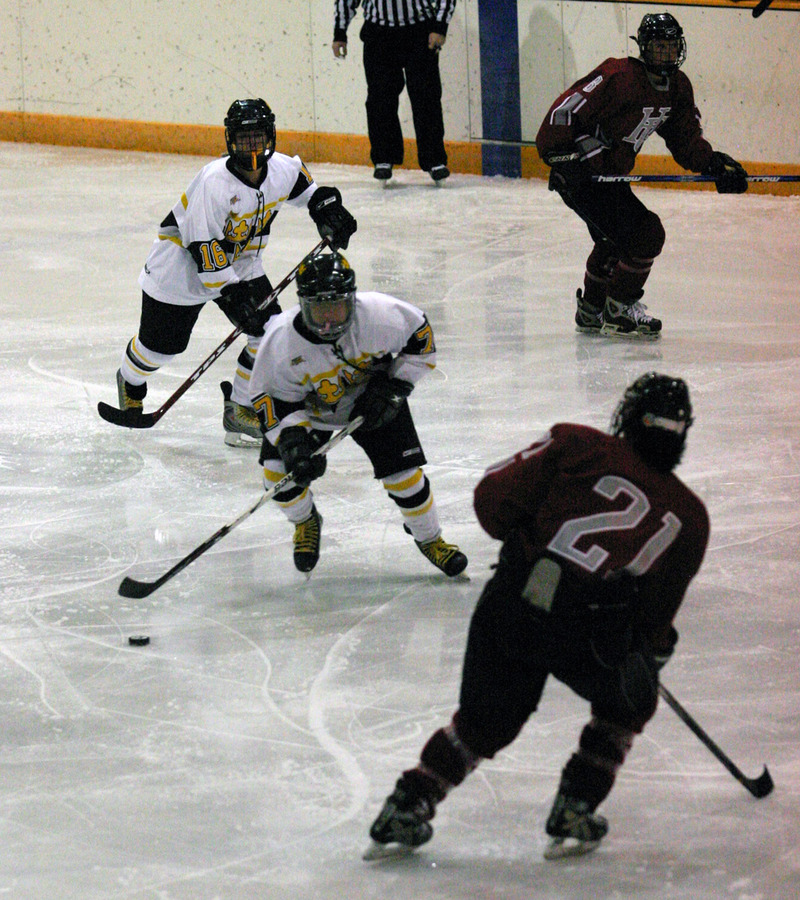 Kathryn DelZoppo skates the puck out of the Gustavus zone.