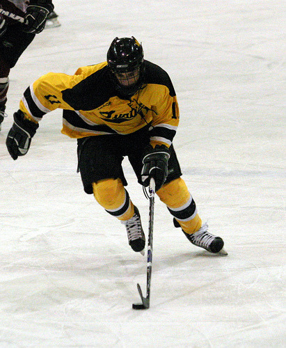 David Martinson leads the Gusties with 38 points (24 goals, 14 assists).