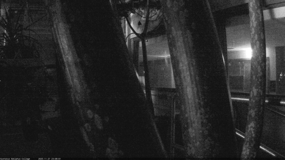 Gustavus Webcam