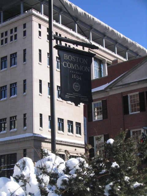 The Boston Commons
