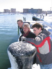 Checking out the Boston Harbor