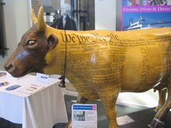 Constance the Constitution Cow