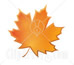 autumn leaf