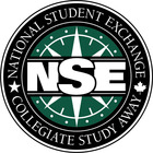 NSE logo