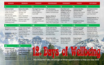Photo gallery image named: 12-days-of-wellbeing-2013.jpg