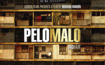 Photo gallery image named: pelo-malo-poster.jpg