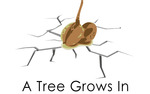 Photo gallery image named: tree-seed-poster2.jpg